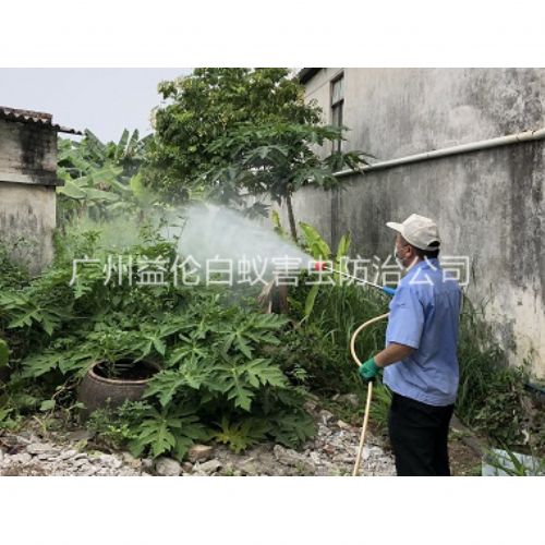 金沙洲社区杀虫灭蚊工程