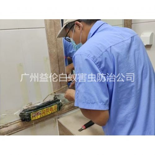 新市诱杀箱施药灭杀白蚁工程