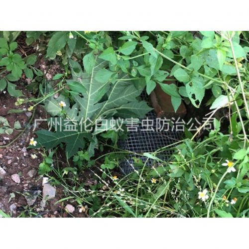 龙归住宅区处理蛇患工程