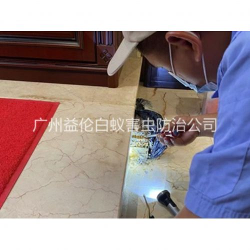 石马安装诱杀箱监测白蚁工程
